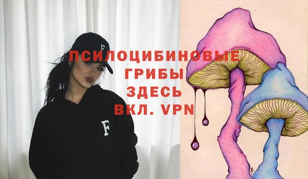 a pvp Армянск