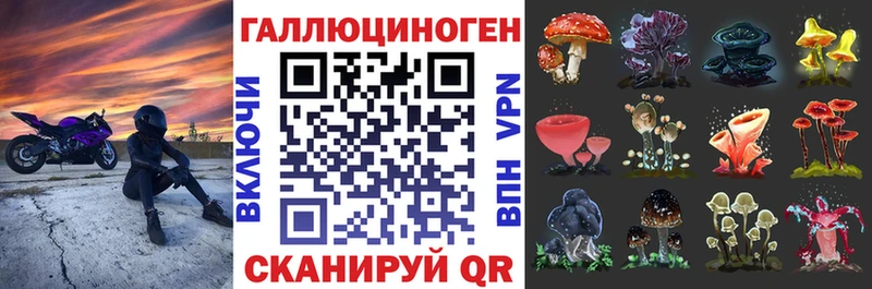как найти   Татарск  Псилоцибиновые грибы Psilocybe 